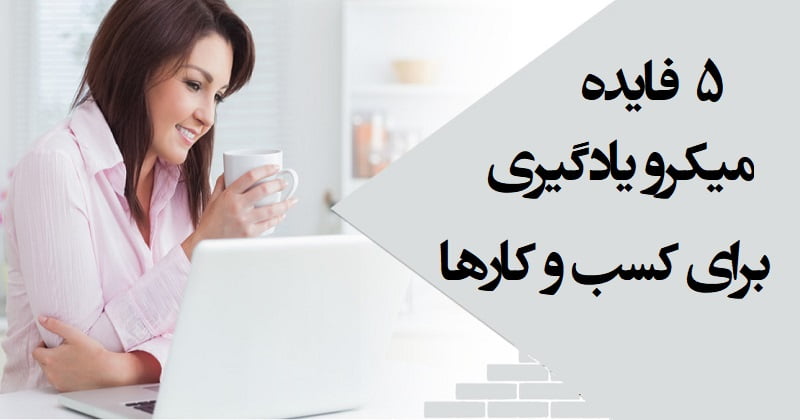 میکرو یادگیری